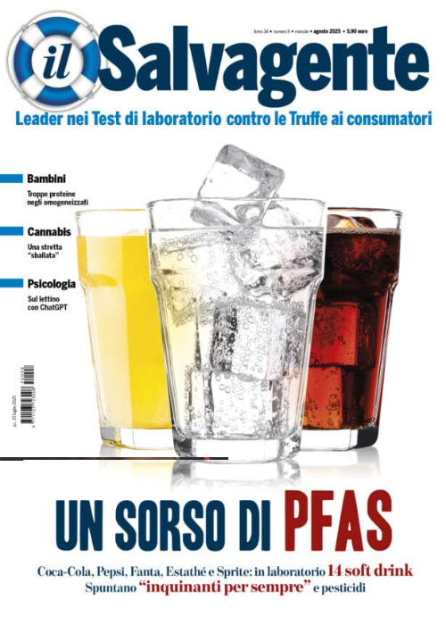 173 Il Salvagente Agosto 25